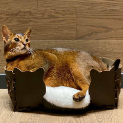 ADJ Лежанка Cat, 45х30хН15 см., цвет: капучино/шоколад